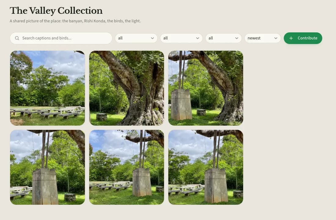 The Valley Collection, a shared archive of valley photographs.